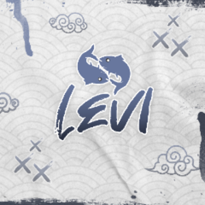 naos_levi avatar
