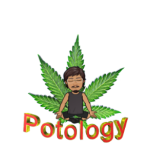 potology avatar