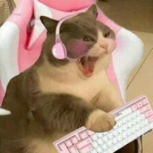 mishi507 avatar