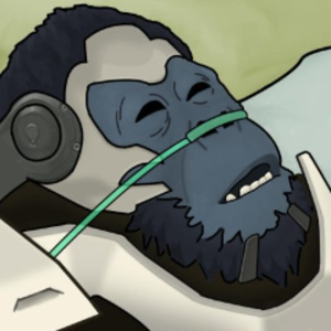 h4ppyalonso avatar