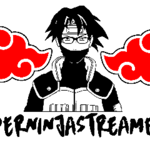 derninjastreamer avatar