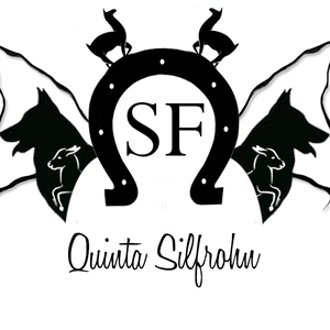 silfrohn_farm avatar