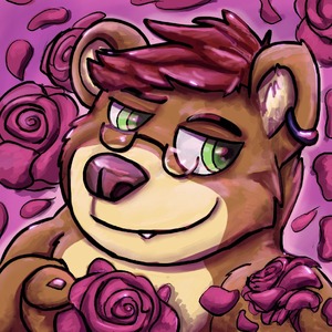 seikabear avatar