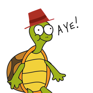 turtlewithhat_ avatar