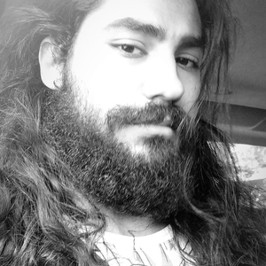 srdemelo avatar