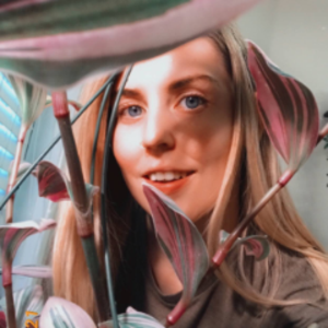 ananchorpoint avatar