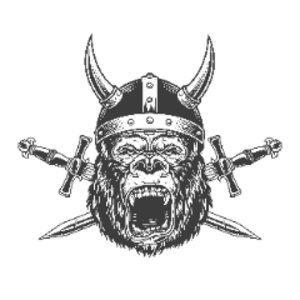 boarischer_wikinger avatar