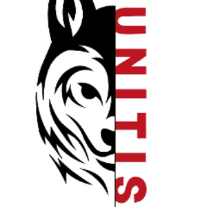 unitis_unitis avatar