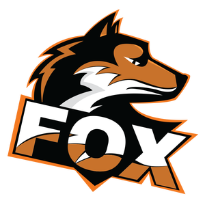 fox_deejaytm avatar