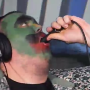 toadgoes avatar
