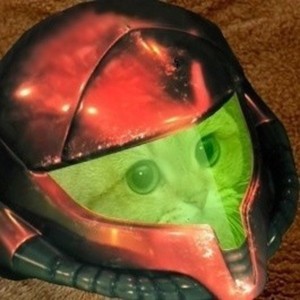qiom avatar