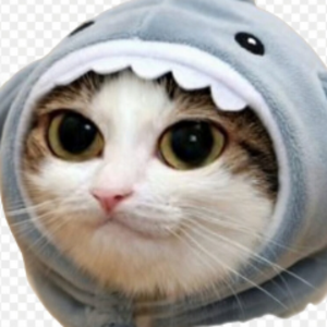 moopshark avatar