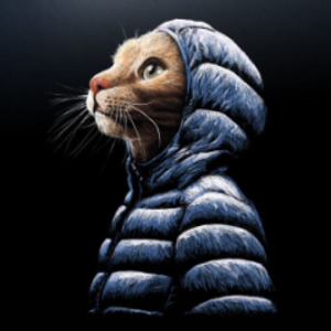 playameow avatar