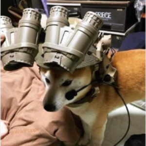 spadeefps avatar