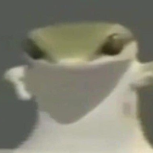 ulsah1n avatar