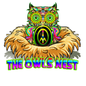 peaceowlgaming avatar