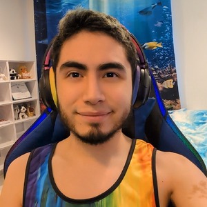 johvanthegamer avatar