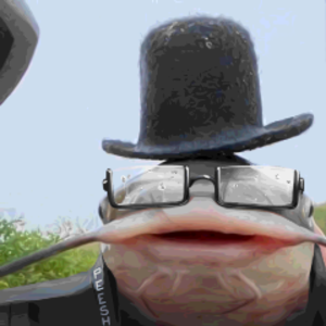 peesh_san avatar