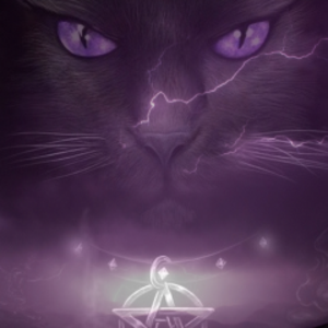 killercat15289 avatar