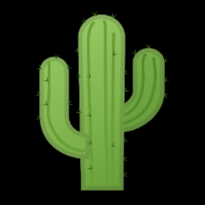 kaktusadamofficial avatar