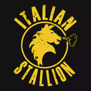 stallion_of_italians avatar