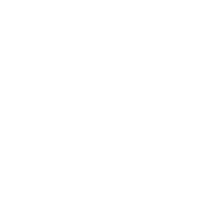theswedishcarguy avatar