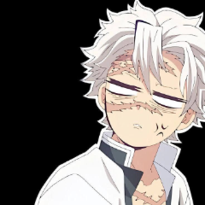 petskubo avatar