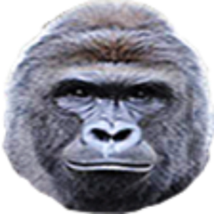 radioharambe avatar