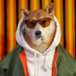 hipdogetv avatar