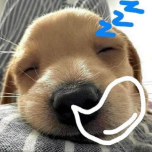 yamolodoyboss avatar