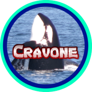 cravone avatar