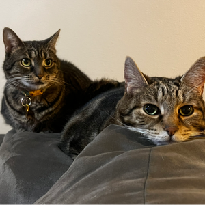 fromthegravehr avatar