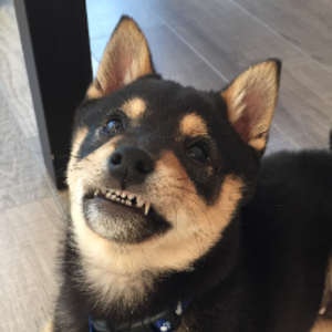 oceaningabyss avatar