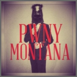 pwny avatar