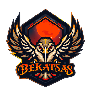 bekatsastv avatar