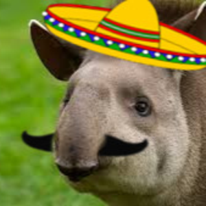 srtapir avatar