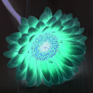 greenflowers04 avatar