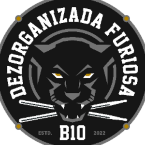 dezorganizada avatar