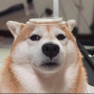 shinkiilol avatar