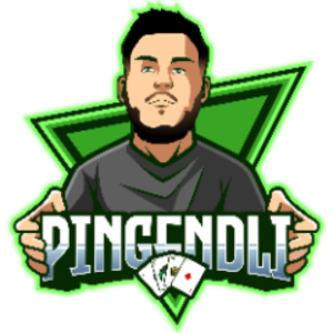 pingendli avatar