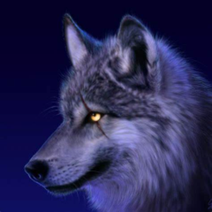 xscar145 avatar