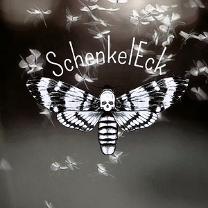 schenkeleck avatar