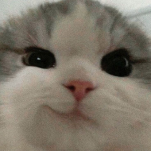 goldenpantsball avatar