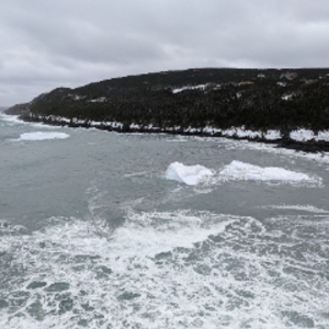 theluckyleader avatar