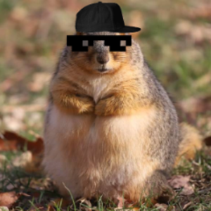 chunksterchunkus avatar