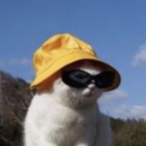 gloamr avatar