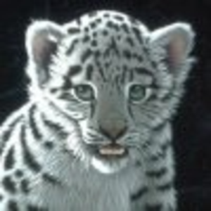 phillisdorothahtwp avatar