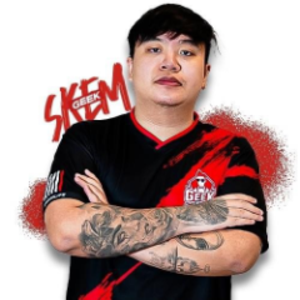 skemdota123 avatar