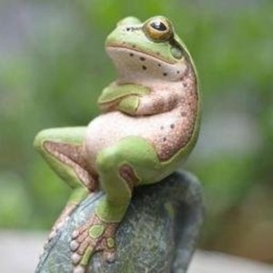 zantaguilar avatar