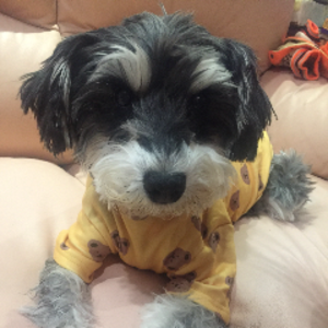 magicwater838 avatar